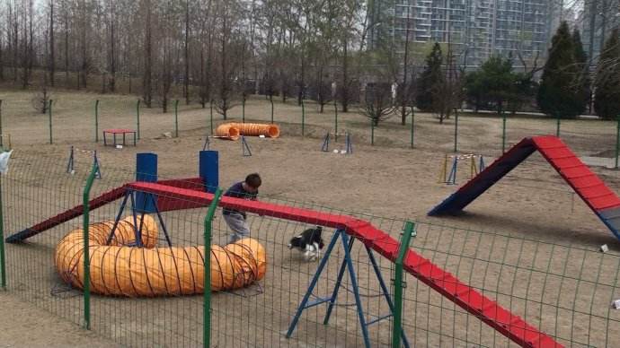寵物狗樂園